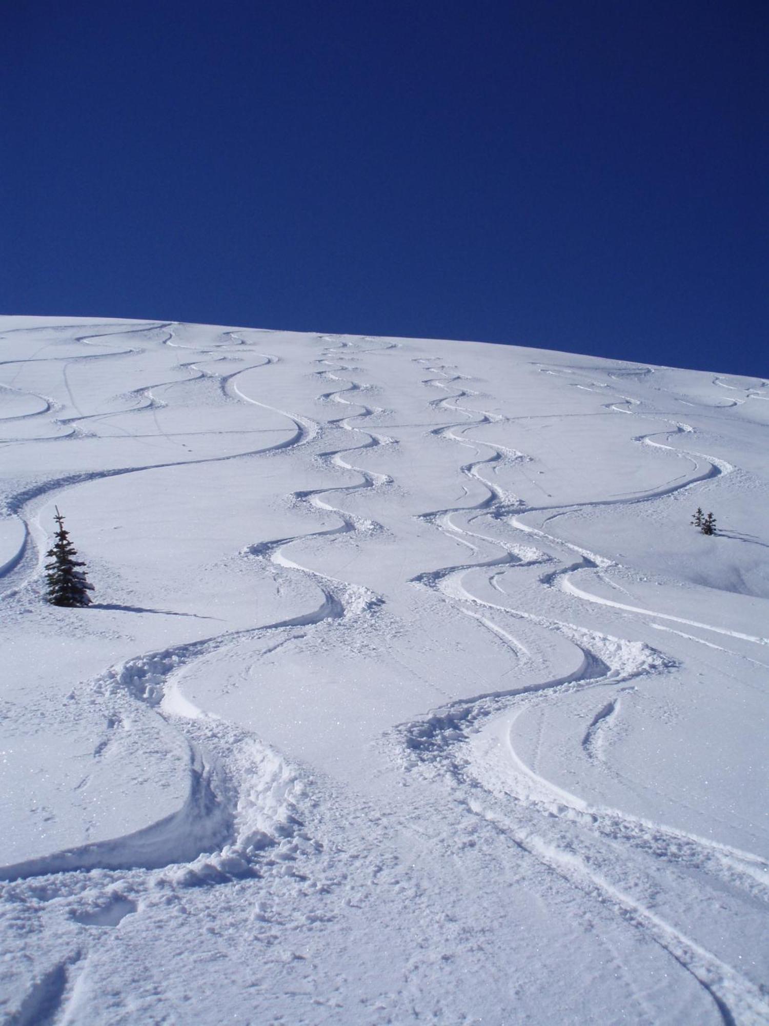 Belle Neige Suites: Whistler Exterior foto